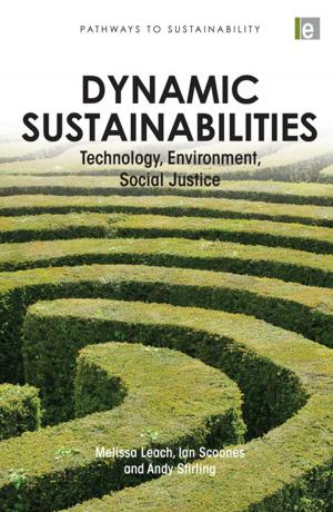 Cover of the book Dynamic Sustainabilities by Albert Fiadjoe