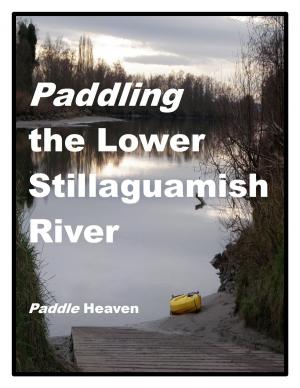Cover of the book Paddling the Lower Stillaguamish River by Paul B. Downing