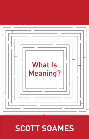 Cover of the book What Is Meaning? by Ignacio Palacios-Huerta