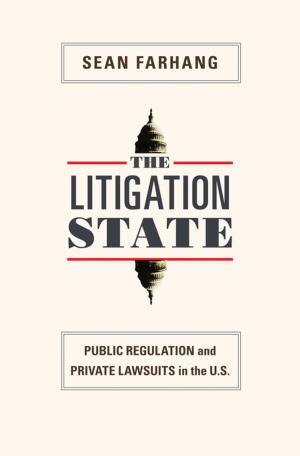 Cover of The Litigation State