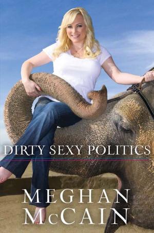 Cover of the book Dirty Sexy Politics by Howard Means