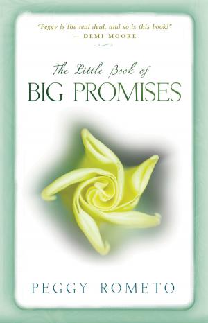 Cover of the book The Little Book of Big Promises by Caroline Myss, Ph.D.