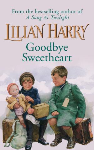 Cover of the book Goodbye Sweetheart by Steve Mosby