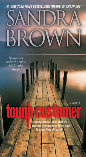 Cover of the book Tough Customer by Shreve Stockton