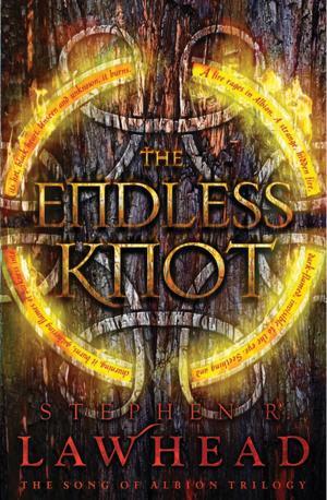 Cover of the book The Endless Knot by Max Anders