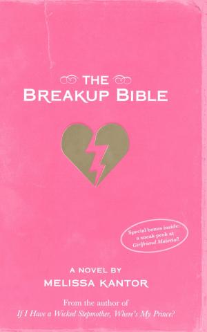 bigCover of the book Breakup Bible, The by 