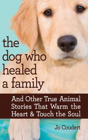Cover of the book The Dog Who Healed a Family by Cindi Myers