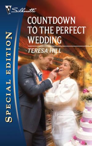 Book cover of Countdown to the Perfect Wedding