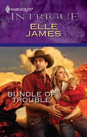 Cover of the book Bundle of Trouble by Merline Lovelace