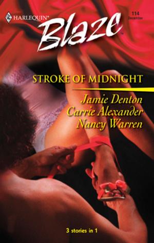 Cover of the book Stroke of Midnight by Elizabeth Goddard