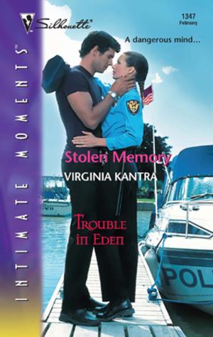 Cover of the book Stolen Memory by Barbara Samuel