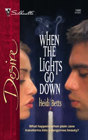 Cover of the book When the Lights Go Down by Raye Morgan