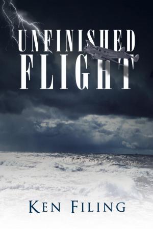 Cover of the book Unfinished Flight by Audrey Driscoll