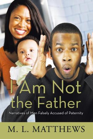 Cover of the book I Am Not the Father by Ilene Ingbritson Wilson