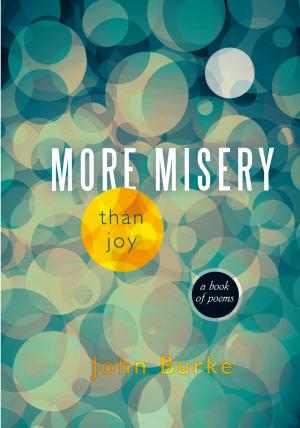 Cover of the book More Misery Than Joy by Charity Tahmaseb