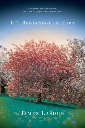 Cover of the book It's Beginning to Hurt by Adrian Burgos Jr.