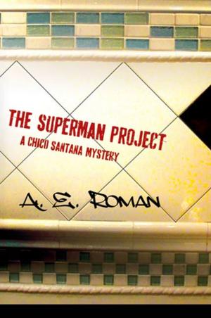 Cover of the book The Superman Project by Mitchell Chefitz