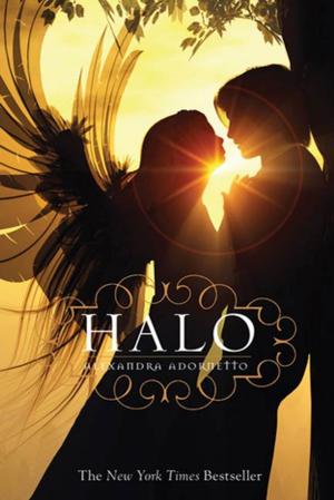 Cover of the book Halo by John Coy