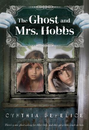Cover of the book The Ghost and Mrs. Hobbs by William Steig