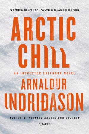 Cover of the book Arctic Chill by Andrew Burstein
