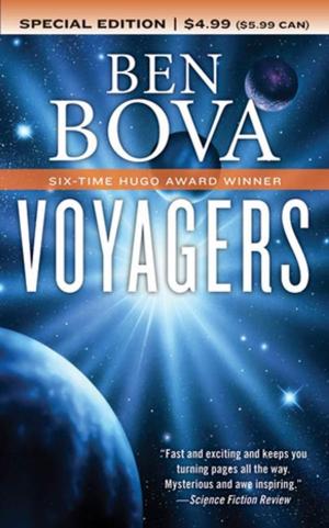 Cover of the book Voyagers by Brandon Luffman