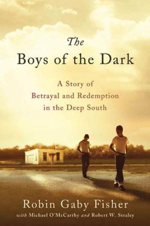 Cover of the book The Boys of the Dark by Michael Allin