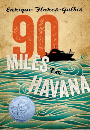 Cover of the book 90 Miles to Havana by Marsha Diane Arnold