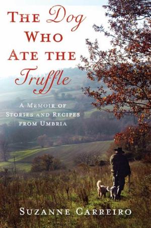 bigCover of the book The Dog Who Ate the Truffle by 