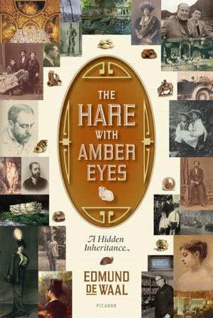 bigCover of the book The Hare with Amber Eyes by 