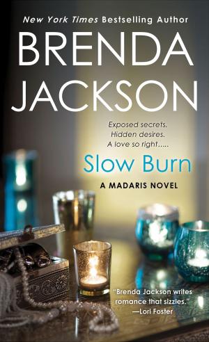 Cover of the book Slow Burn by John W. Dean, Barry M. Goldwater Jr.