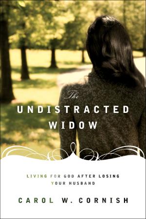 Cover of the book The Undistracted Widow by Dmitri Diaguilev
