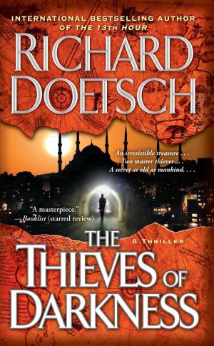 Cover of the book The Thieves of Darkness by A. D. Scott