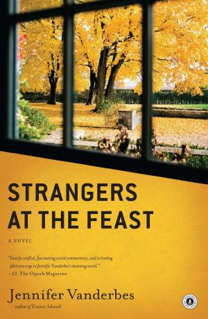 bigCover of the book Strangers at the Feast by 