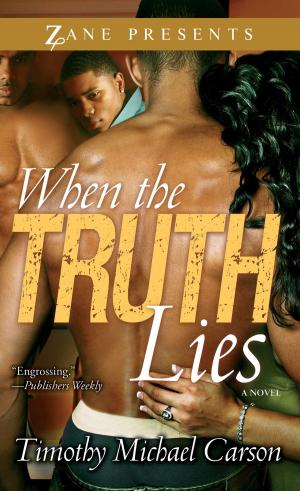 Cover of the book When the Truth Lies by Jenna Castille