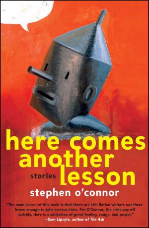 Cover of the book Here Comes Another Lesson by James G. March