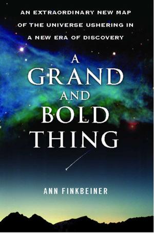 Cover of the book A Grand and Bold Thing by Steve Frank