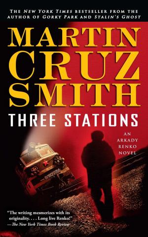 Cover of the book Three Stations by Steve Evans