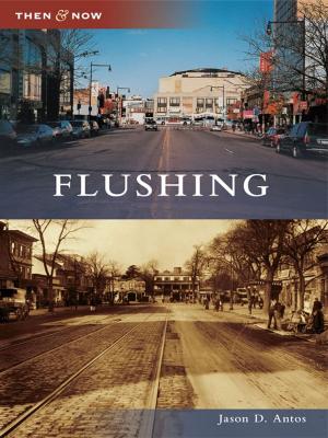 Cover of the book Flushing by Richard Hoye, Jane McLenahan, Tom Moore, Ojai Valley Museum