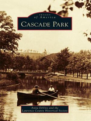 Cover of the book Cascade Park by Jules FOURNIER