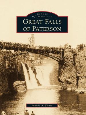 Cover of the book Great Falls of Paterson by Harry Gratwick