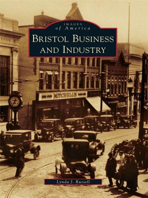 Cover of the book Bristol Business and Industry by Mike Goodson