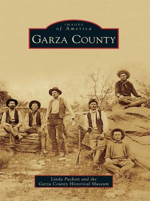 Cover of the book Garza County by Hans DePold, Congressman Joe Courtney