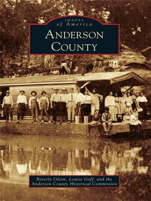 Cover of the book Anderson County by Roberta Kludt Long