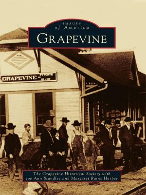 Cover of the book Grapevine by Tina Bucuvalas