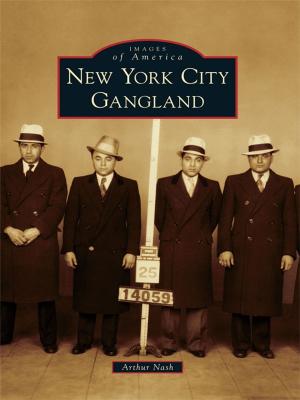 Cover of the book New York City Gangland by Michael J. Vieira & J. North Conway
