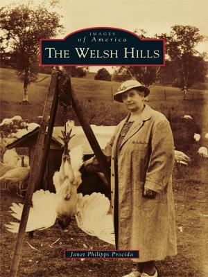 bigCover of the book The Welsh Hills by 