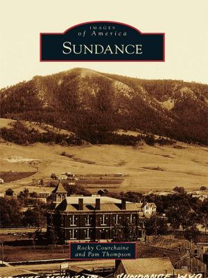 Cover of the book Sundance by Susan Gillis