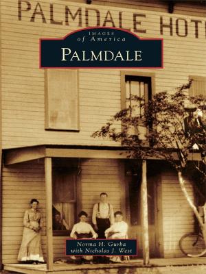 Cover of the book Palmdale by Stephen Hayward Silberkraus