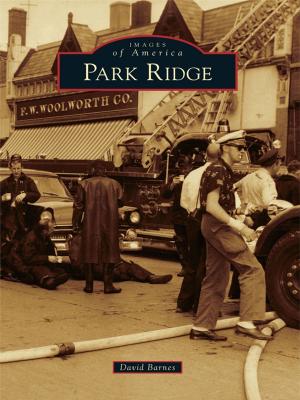 Cover of the book Park Ridge by Stephanie Waters