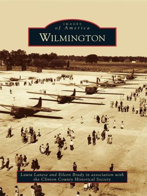 Cover of the book Wilmington by Gary Lacher, Steve Stone